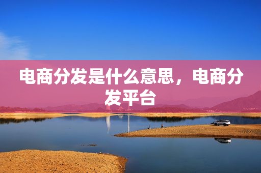 电商分发是什么意思，电商分发平台
