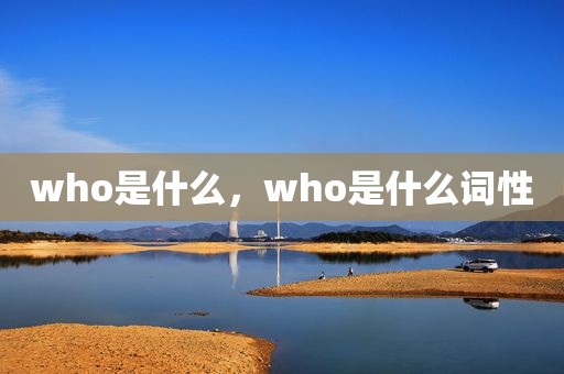who是什么，who是什么词性