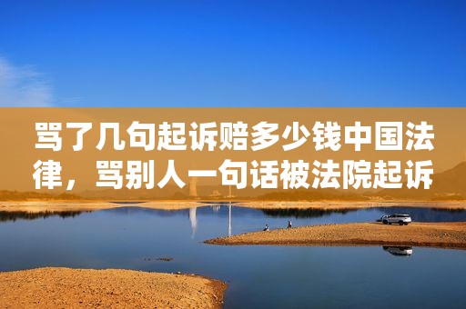 骂了几句起诉赔多少钱中国法律，骂别人一句话被法院起诉