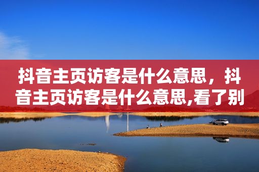 抖音主页访客是什么意思，抖音主页访客是什么意思,看了别人的作品吗