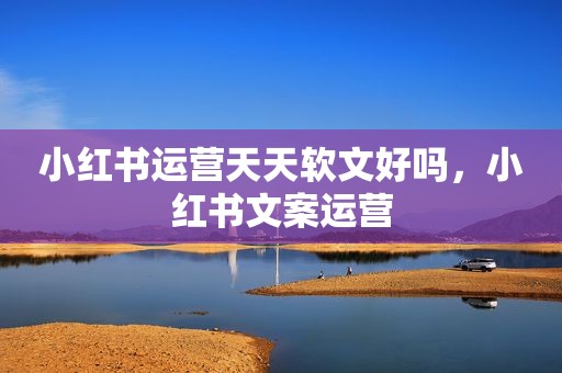 小红书运营天天软文好吗，小红书文案运营