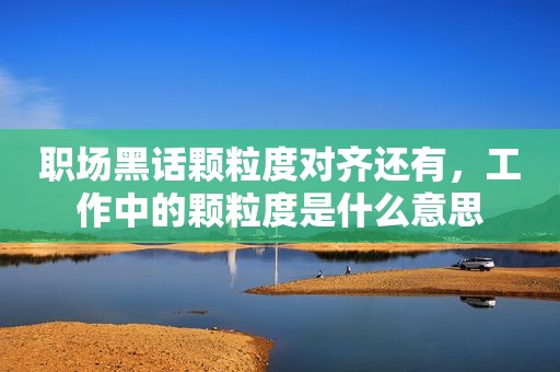 职场黑话颗粒度对齐还有，工作中的颗粒度是什么意思