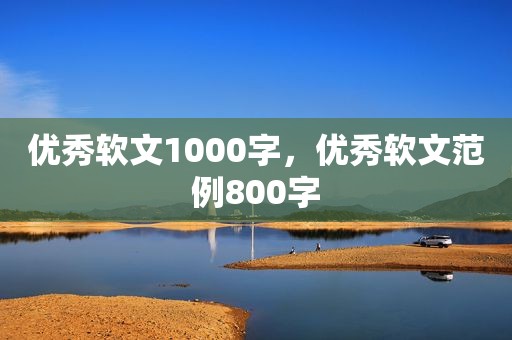 优秀软文1000字，优秀软文范例800字
