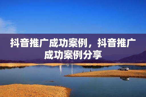 抖音推广成功案例，抖音推广成功案例分享