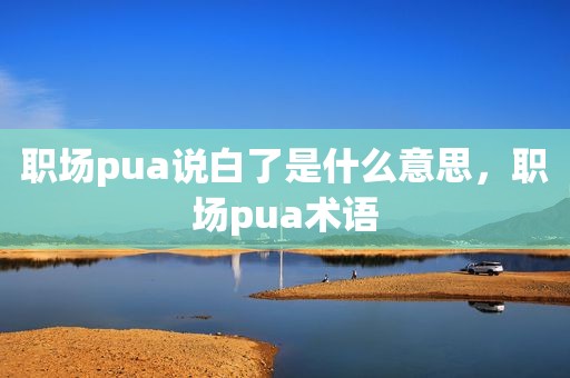 职场pua说白了是什么意思，职场pua术语