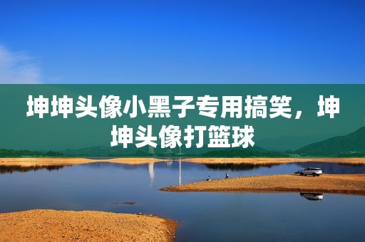 坤坤头像小黑子专用搞笑，坤坤头像打篮球