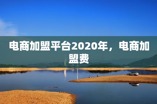 电商加盟平台2020年，电商加盟费