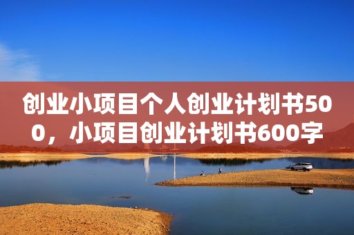 创业小项目个人创业计划书500，小项目创业计划书600字