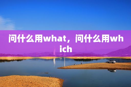 问什么用what，问什么用which