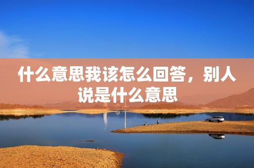 什么意思我该怎么回答，别人说是什么意思