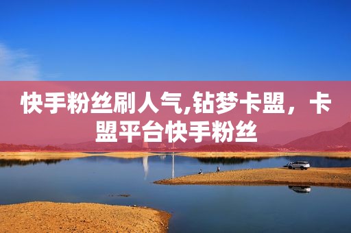 快手粉丝刷人气,钻梦卡盟，卡盟平台快手粉丝