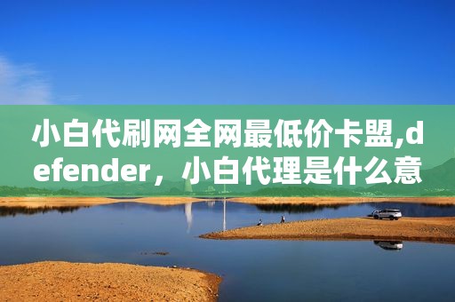 小白代刷网全网最低价卡盟,defender，小白代理是什么意思