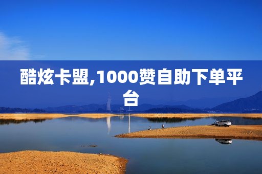 酷炫卡盟,1000赞自助下单平台