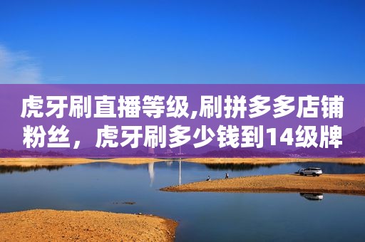 虎牙刷直播等级,刷拼多多店铺粉丝，虎牙刷多少钱到14级牌子