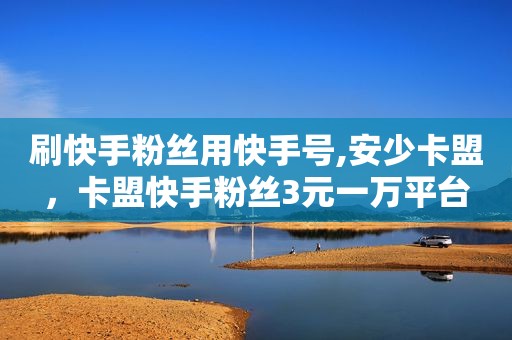 刷快手粉丝用快手号,安少卡盟，卡盟快手粉丝3元一万平台
