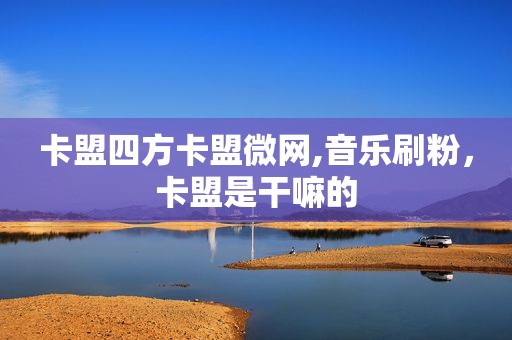 卡盟四方卡盟微网,音乐刷粉，卡盟是干嘛的