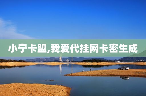 小宁卡盟,我爱代挂网卡密生成
