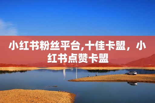 小红书粉丝平台,十佳卡盟，小红书点赞卡盟