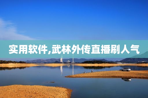 实用软件,武林外传直播刷人气