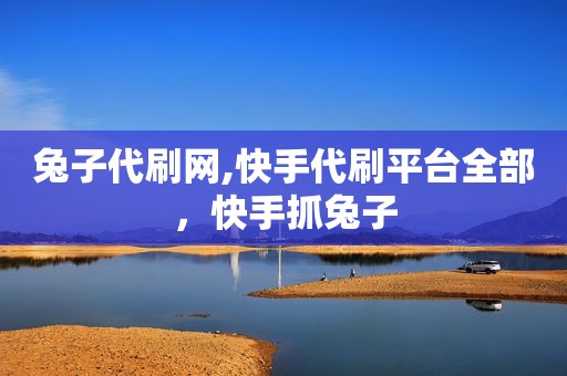 兔子代刷网,快手代刷平台全部，快手抓兔子