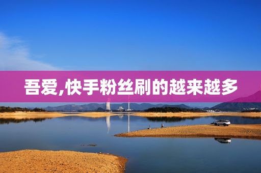 吾爱,快手粉丝刷的越来越多