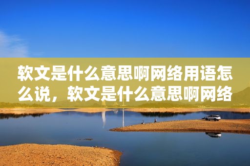 软文是什么意思啊网络用语怎么说，软文是什么意思啊网络用语怎么说的