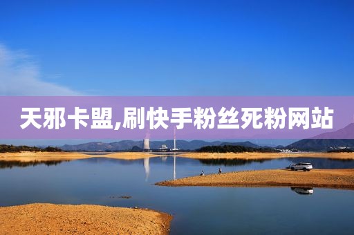 天邪卡盟,刷快手粉丝死粉网站
