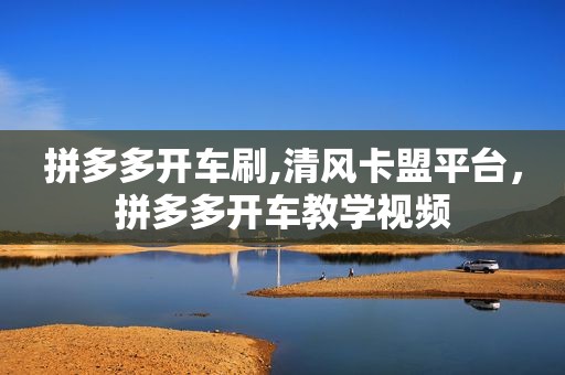 拼多多开车刷,清风卡盟平台，拼多多开车教学视频