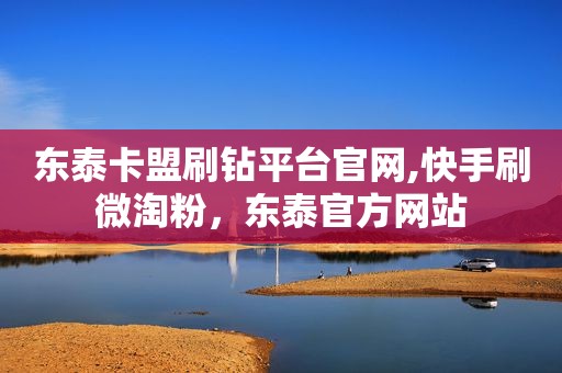 东泰卡盟刷钻平台官网,快手刷微淘粉，东泰官方网站