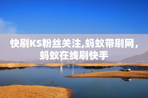 快刷KS粉丝关注,蚂蚁带刷网，蚂蚁在线刷快手